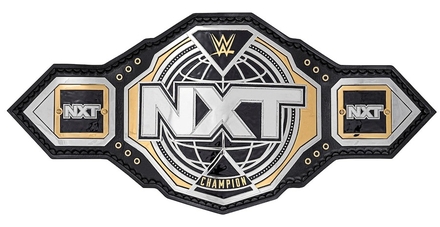 Meilleur Ceinture de Catch
